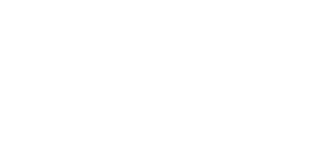 Executive Transport